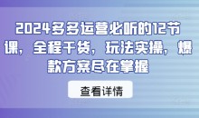 2024多多运营必听的12节课,全程干货,玩法实操,爆款方案尽在掌握