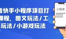 抖音快手小程序项目打造课程,图文玩法/工具玩法/小游戏玩法