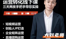 实体流量运营课,实体引流、商家加盟、暴力起号等