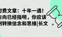 某付费文章:十年一遇!当方向已经指明,你应该立刻转换信念和思维|长文