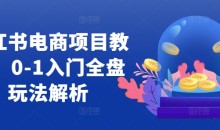 小红书电商项目教程,0-1入门全盘玩法解析