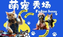 酷飒动物跳舞走秀,时尚喵FASHION汪, 多金小姐姐最爱的,轻松月入破W【揭秘】
