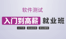 沽泡-P4软件测试零基础入门(基础班)价值3800元-完结无秘