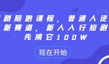 短剧陪跑课程,普通人逆袭的新赛道,新人入行短剧,先搞它100W