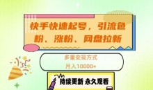 快手快速起号,引流s粉、涨粉、网盘拉新多重变现方式