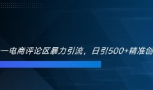 双十一电商评论区暴力引流,日引500+精准创业粉