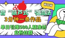 抖音葫芦式引流法,三分钟一条作品,单日引爆抖音500人精准创业粉丝群