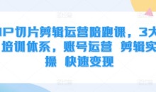 IP切片剪辑运营陪跑课,3大培训体系,账号运营 剪辑实操 快速变现