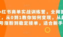 小红书商单实战训练营,全网首发,从0到1教你如何变现,从起号涨粉到稳定接单,适合新手