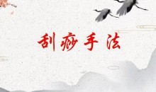 刘霞新版人体十二部刮痧视频课程13集