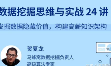 数据挖掘思维与实战 24 讲 发掘数据隐藏价值,构建高薪知识架构