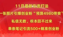 小红书11月最新图片打粉,一张图片引爆创业粉,单条引流500+精准创业粉