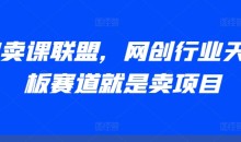 AI卖课联盟,网创行业天花板赛道就是卖项目
