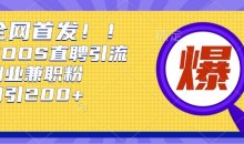 通过Boss直聘每天轻松钓到200+多条创业大鱼的秘籍