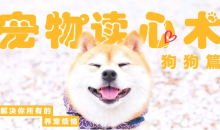 宠物读心术:解决你的养猫烦恼、解决你的养狗烦恼