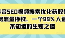 抖音SEO视频搜索优化获取免费流量挣钱,一个99%人还不知道的生财之道