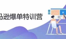 2024年亚马逊爆单特训营,专制不出单,挑战日出千单