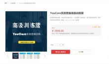 YouCore系统思维应用 高级训练营,真正从“知道”到“做到” 价值3998元