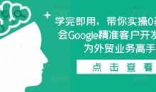 学完即用,带你实操0基础学会Google精准客户开发,成为外贸业务高手