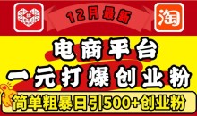 12月最新:电商平台1元打爆创业粉,简单粗暴日引500+精准创业粉
