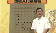 围棋入门快易精_围棋入门视频教程_王元围棋视频讲座