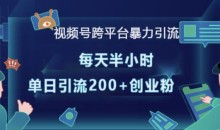 视频号跨平台暴力引流,每天半小时,单日引流200+精准创业粉