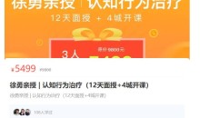 徐勇认知行为治疗(CBT)理论与技能实操网络课程 全套