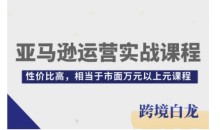 亚马逊运营实战课程,亚马逊从入门到精通,性价比高,相当于市面万元以上元课程