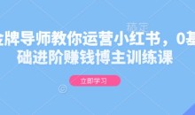 金牌导师教你运营小红书,0基础进阶赚钱博主训练课