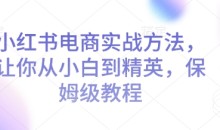 小红书电商实战方法,让你从小白到精英,保姆级教程