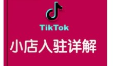 TikTok跨境小店运营全攻略,帮助你独立运营TK跨境小店的能力,实现销量增长
