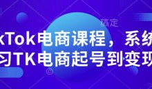 TikTok电商课程,系统学习TK电商起号到变现
