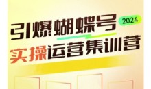 引爆蝴蝶号实操运营,助力你深度掌握蝴蝶号运营,实现高效实操,开启流量变现之路