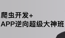 陆飞-爬虫开发APP逆向超级大神班1-8班-价值4999-2023年-课件完整