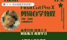 轻松玩转剪辑系统课,从零开始快速上手,同步练习高效学习,思维提升从简到难