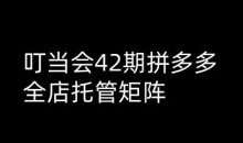 叮当会拼多多打爆班原创高阶技术第42期,拼多多全店托管矩阵