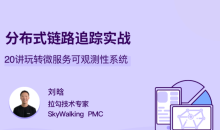 分布式链路追踪实战,20讲玩转微服务可观测性系统