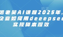 天诺老吴AI课程2025年,电商企业如何用deeepseek实现降本提效