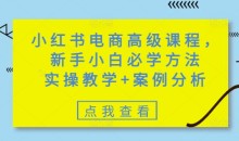小红书电商高级课程,新手小白必学方法,实操教学+案例分析