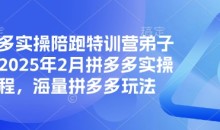 拼多多实操陪跑特训营弟子班,2025年2月拼多多实操课程,海量拼多多玩法