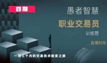 愚者智慧《职业交易员训练营》四期