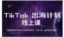 TikTok跨境电商新手起号与运营全攻略,0基础做跨境电商TIKTOK新手起号,小店入驻,操作指南全流程
