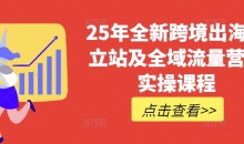 25年全新跨境出海独立站及全域流量营销实操课程,跨境电商独立站TIKTOK全域营销普货特货玩法大全