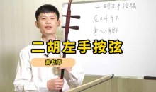二胡自学视频教程初学 高清完整 入门到提高12G
