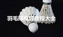 羽毛球视频教程大全