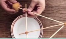 《物理实验》启蒙动画故事视频全20集