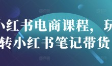 小红书电商课程,玩转小红书笔记带货