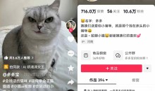 AI技术让动物“开口说话”全程手机操作涨粉10W+,小白轻松上手