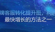 金牌客服转化提升班,利润率最快增长的方法之一