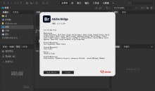 Adobe Bridge 2025 (v15.1.0.635.0)简称BR破解2025最新版